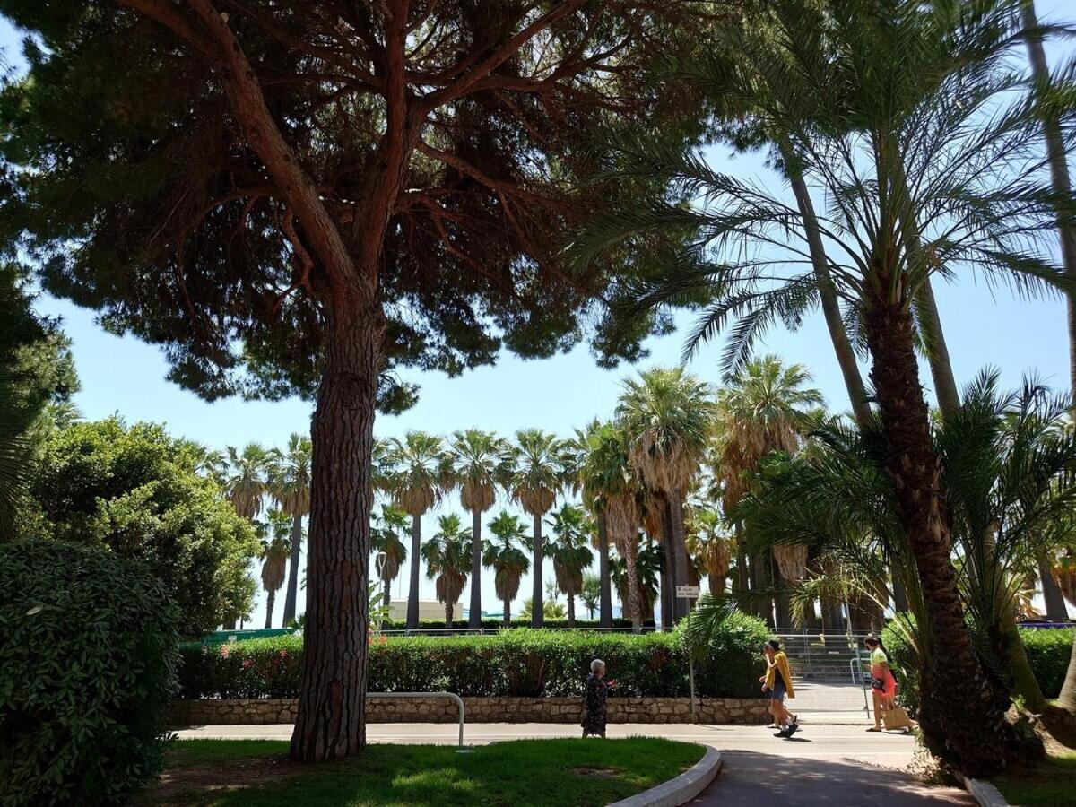 Sunrise & Sunset Palm Beach Croisette Cannes Eksteriør billede